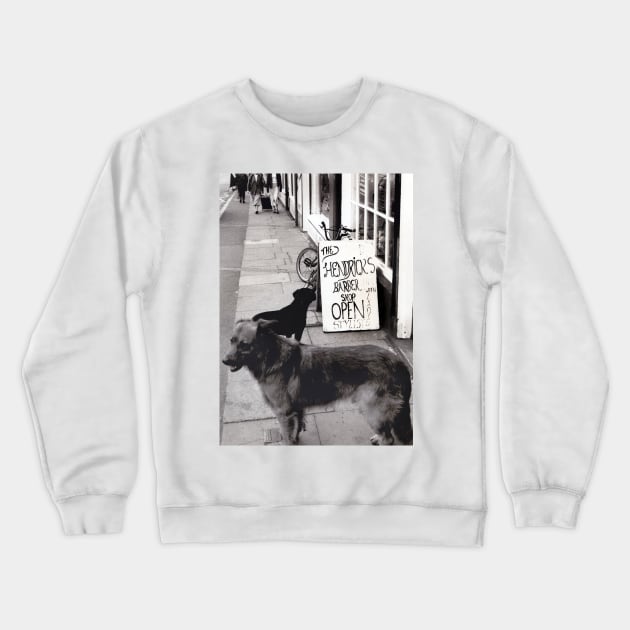 Dogs queuing for a haircut in Burslem, Stoke on Trent, UK - 1996 Crewneck Sweatshirt by richflintphoto